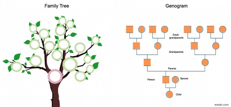 สร้าง Genogram ใน Microsoft Word:คำแนะนำทีละขั้นตอน 