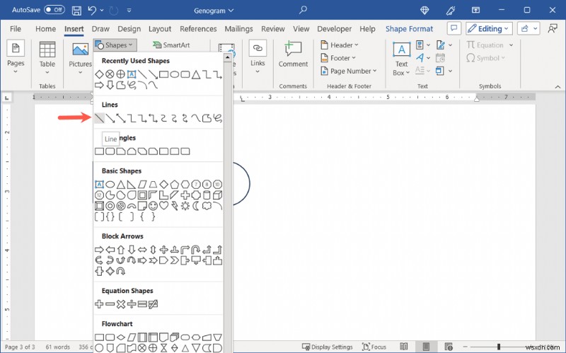 สร้าง Genogram ใน Microsoft Word:คำแนะนำทีละขั้นตอน 