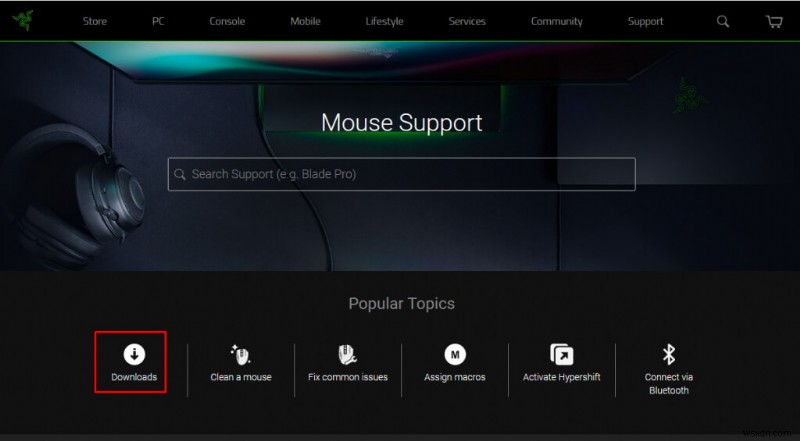 อุปกรณ์ต่อพ่วง Razer ตรวจไม่พบในไซแนปส์ใช่ไหม 6 การแก้ไขด่วน 