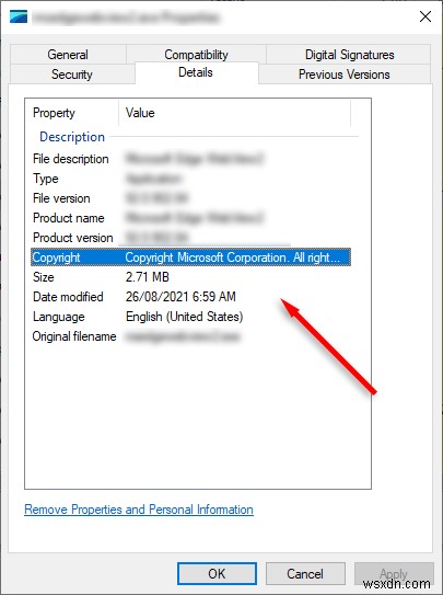 อธิบาย LSAISO.exe:เหตุใดจึงทำให้พีซีของคุณล่มและวิธีแก้ไข 