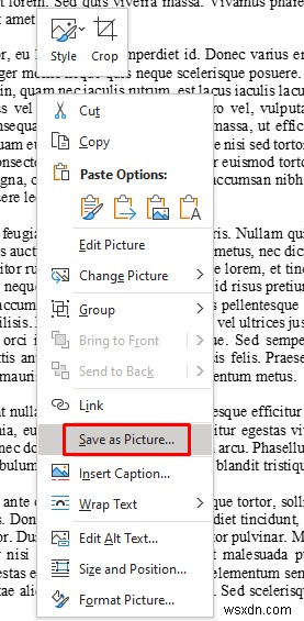 แปลงเอกสาร Word ของคุณเป็น JPEG คุณภาพสูงภายในไม่กี่นาที 