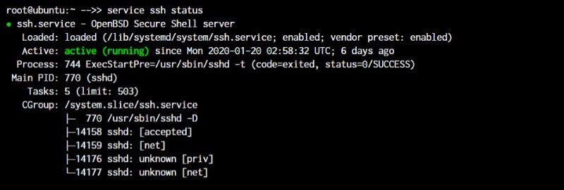 Master Linux:คำสั่งสำคัญกว่า 50 คำสั่งเพื่อการจัดการระบบที่มีประสิทธิภาพ 