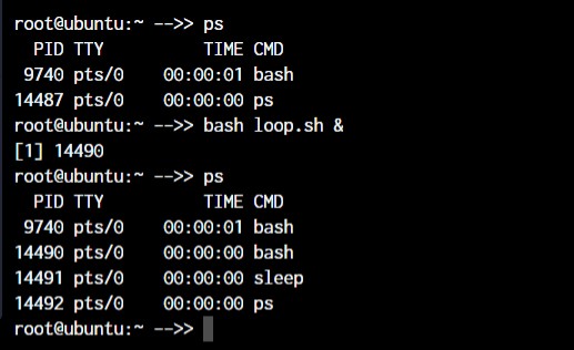 Master Linux:คำสั่งสำคัญกว่า 50 คำสั่งเพื่อการจัดการระบบที่มีประสิทธิภาพ 