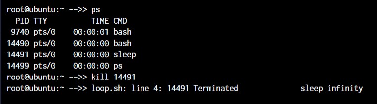 Master Linux:คำสั่งสำคัญกว่า 50 คำสั่งเพื่อการจัดการระบบที่มีประสิทธิภาพ 