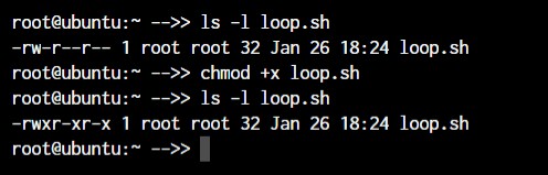 Master Linux:คำสั่งสำคัญกว่า 50 คำสั่งเพื่อการจัดการระบบที่มีประสิทธิภาพ 
