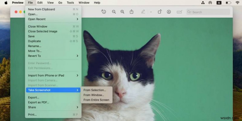 เทคนิคการจับภาพหน้าจอ Master Mac:คู่มือที่ครอบคลุมในการจับภาพหน้าจอของคุณ 