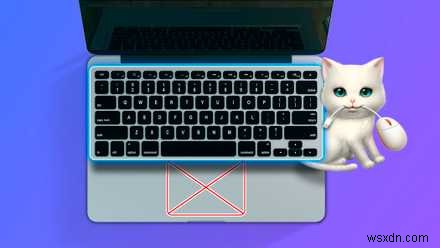 Raycast:แอพ Mac ที่จำเป็นสำหรับการเพิ่มประสิทธิภาพการทำงาน 