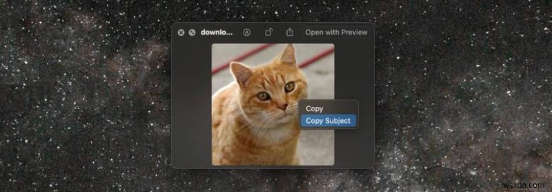 การลบพื้นหลังอย่างง่ายดายบน macOS:คู่มือฉบับย่อสำหรับผู้ใช้ Mac 
