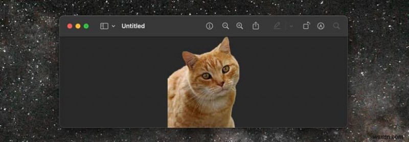 การลบพื้นหลังอย่างง่ายดายบน macOS:คู่มือฉบับย่อสำหรับผู้ใช้ Mac 