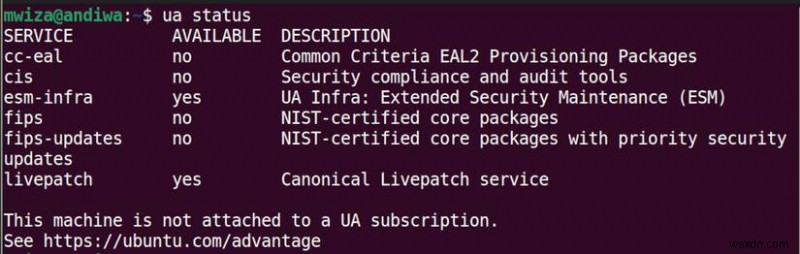 เหตุใด Ubuntu LTS จึงเหนือกว่ารุ่นทั่วไปในด้านความน่าเชื่อถือและการสนับสนุนระยะยาว 