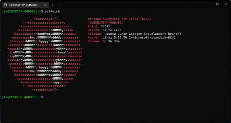เรียกใช้ Ubuntu Daily Builds บน Windows โดยใช้ Ubuntu Preview สำหรับ WSL 