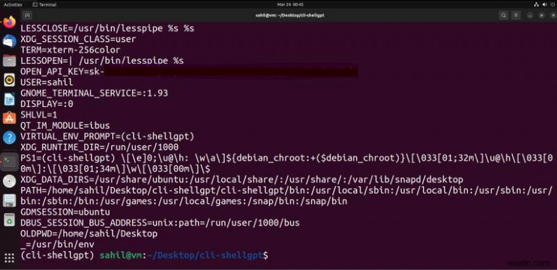 เรียกใช้ ChatGPT ใน Ubuntu Terminal ด้วย ShellGPT:คู่มือการตั้งค่าฉบับย่อ 