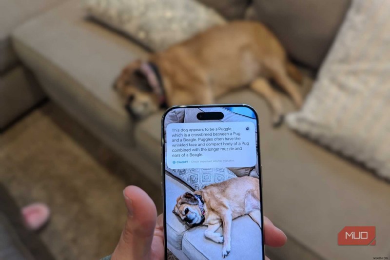 ปลดล็อกศักยภาพสูงสุดของ iPhone ของคุณ:ฟีเจอร์กล้อง 3 ประการที่ตอบโจทย์ความท้าทายในชีวิตประจำวัน 