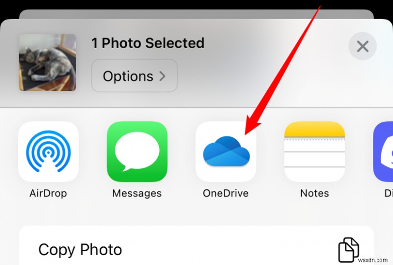 คำแนะนำที่รวดเร็วและเชื่อถือได้:ถ่ายโอนรูปภาพ iPhone ไปยัง Windows 11 ในไม่กี่นาที 
