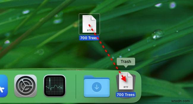 วิธีค้นหาถังรีไซเคิลบน Mac ของคุณ – คู่มือฉบับย่อ 