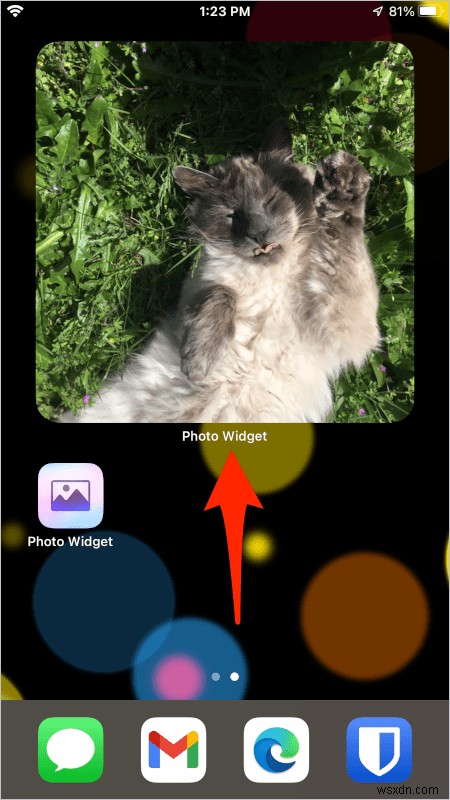 การปรับแต่งวิดเจ็ตรูปภาพ iOS:เลือกรูปภาพโปรดของคุณสำหรับหน้าจอหลัก