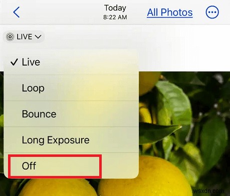 ถ่ายโอนภาพถ่ายสดจาก iPhone ไปยัง Android ในขณะที่รักษาการเคลื่อนไหวและเสียง 