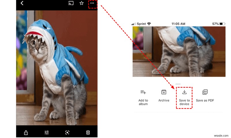 วิธีถ่ายโอน Google Photos ไปยัง iPhone Camera Roll ของคุณในปี 2024