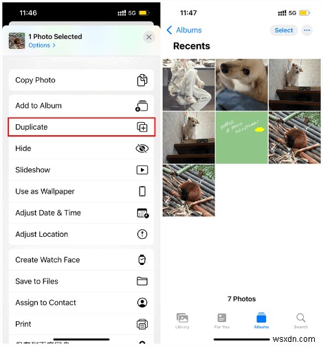 คู่มือฉบับย่อ:ทำซ้ำรูปภาพบน iPhone และ iPad โดยไม่สูญเสียต้นฉบับ 