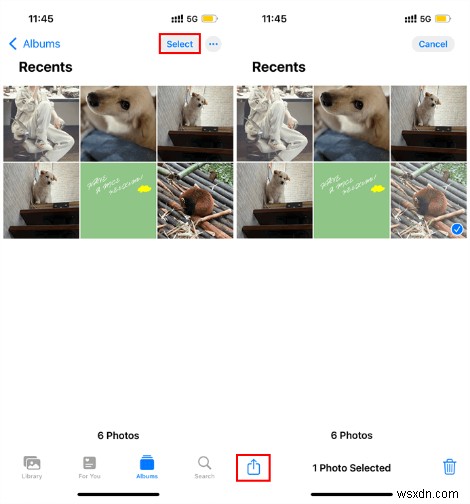 คู่มือฉบับย่อ:ทำซ้ำรูปภาพบน iPhone และ iPad โดยไม่สูญเสียต้นฉบับ 