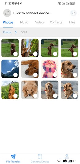 แก้ไขปัญหาการเชื่อมต่อการถ่ายโอนไฟล์ Android บน macOS 