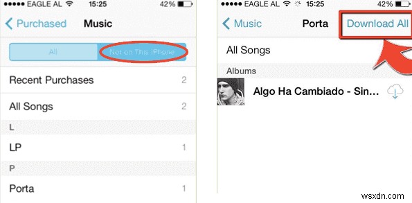 ดาวน์โหลด MP3 จาก iCloud ไปยัง iPhone หรือ iPad ของคุณ:2 วิธีง่าย ๆ 