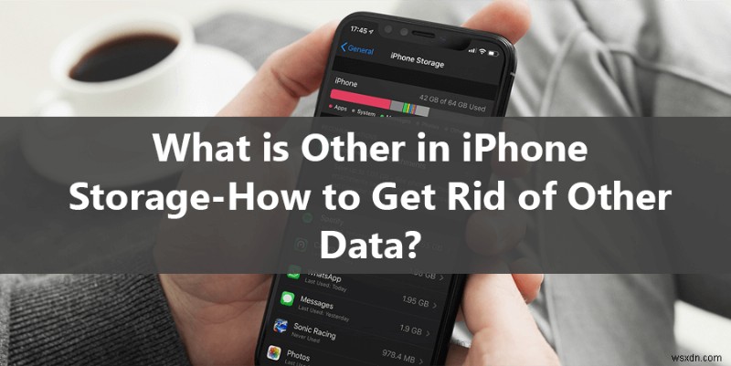 ทำความเข้าใจกับที่เก็บข้อมูล iPhone  อื่น ๆ :เหตุใดจึงเกิดขึ้น &วิธีลดขนาด 