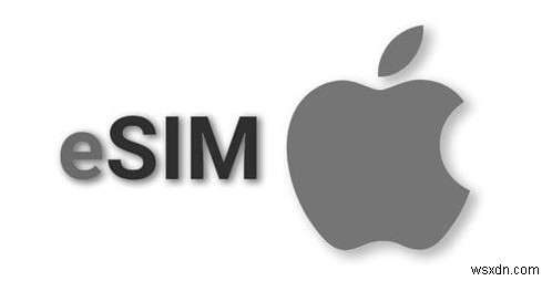 แก้ไขปัญหาการโอน eSIM บน iPhone 16/15 ใหม่ของคุณ