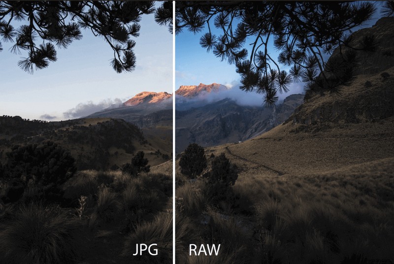 เชี่ยวชาญการถ่ายภาพ RAW บน iPhone 11-14:คู่มือฉบับสมบูรณ์ 