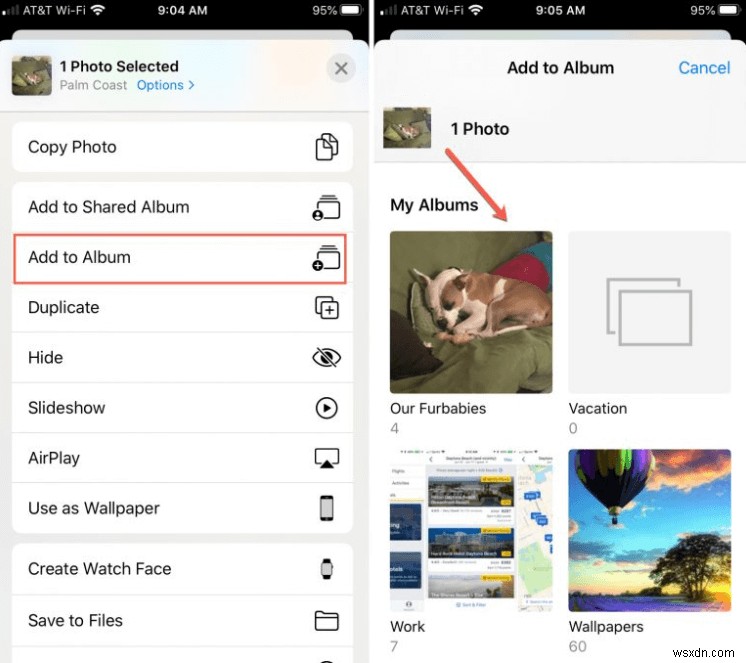 เชี่ยวชาญคลังรูปภาพ iPhone ของคุณ:5 เคล็ดลับจากผู้เชี่ยวชาญเพื่อการจัดระเบียบที่ง่ายดาย