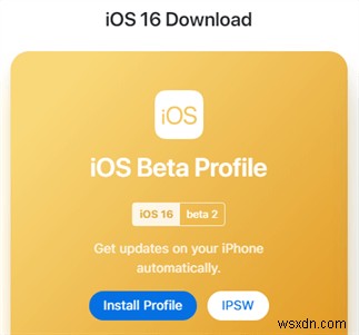 iOS 16/17/18 Beta ไม่ปรากฏบน iPhone ของคุณใช่ไหม การแก้ไขด่วนและการแก้ไขปัญหา 