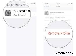 คำแนะนำทีละขั้นตอน:ดาวน์เกรดจาก iPadOS 18 Beta เป็น iPadOS 17