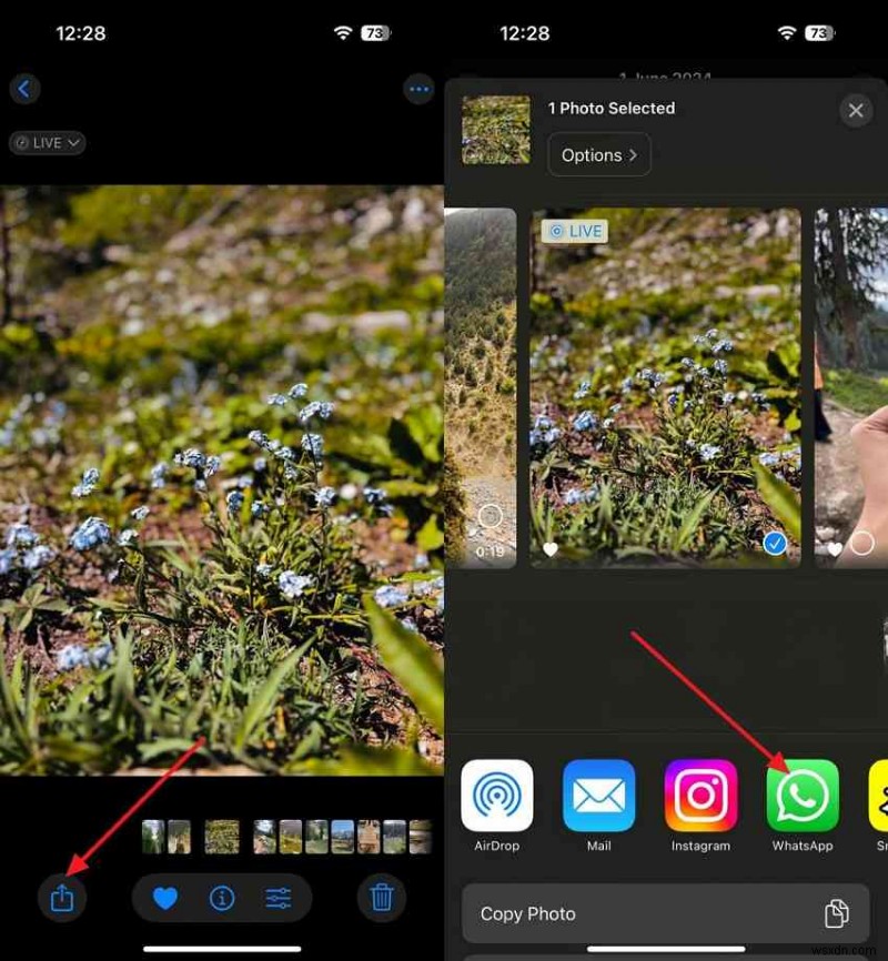 วิธีที่ง่ายและปลอดภัยในการถ่ายโอนรูปภาพระหว่าง iPhone 