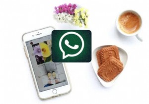 การส่งออก WhatsApp Media จาก iPhone 17:คำแนะนำทีละขั้นตอนในการถ่ายโอนไปยังพีซีหรือไดรฟ์ภายนอก 