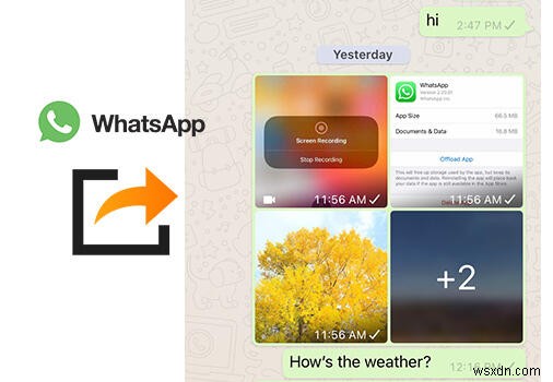ถ่ายโอนรูปภาพและวิดีโอ WhatsApp ด้วย Syncios – รวดเร็ว ปลอดภัย และง่ายดาย 