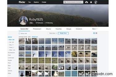 ถ่ายโอนภาพถ่าย Flickr ของคุณอย่างปลอดภัยหลังจากข้อกังวลเรื่องการแฮ็กล่าสุด 