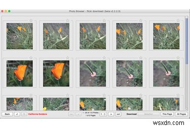 ถ่ายโอนภาพถ่าย Flickr ของคุณอย่างปลอดภัยหลังจากข้อกังวลเรื่องการแฮ็กล่าสุด 