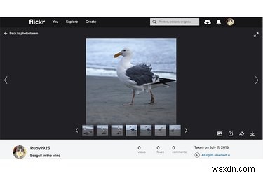 เหตุใด Flickr ยังคงเป็นแพลตฟอร์ม Go-To Photo หลังจากการแฮ็กของ Yahoo ในปี 2559 