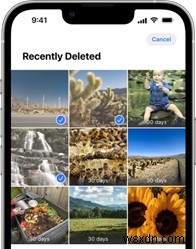 iOS 17.5 Photo Bug:วิธีลบรูปภาพที่แสดงซ้ำบน iPhone อย่างถาวร 