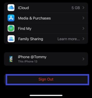แก้ไข iCloud Sync หยุดชั่วคราว:วิธีแก้ปัญหาที่ง่ายและรวดเร็วสำหรับ iPhone และ iPad 