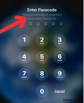 คำแนะนำฉบับสมบูรณ์เกี่ยวกับการรีเซ็ต iPad จากโรงงานโดยไม่ต้องใช้รหัสผ่าน Apple ID (2026) 