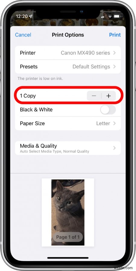 พิมพ์รูปภาพ iCloud, iPhone และ Mac ของคุณ:คำแนะนำทีละขั้นตอน 