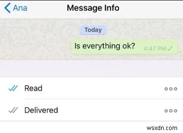 คู่มือปี 2026:ขีดสีเทาหนึ่งอันบน WhatsApp มีความหมายว่าอย่างไร 