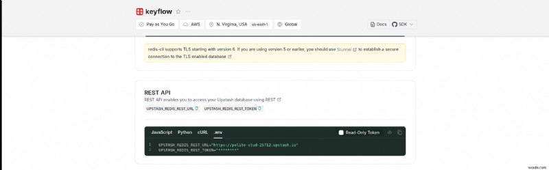 สร้างคีย์ API ที่ปลอดภัยด้วย Upstash Redis และ Cloudflare Workers:คำแนะนำทีละขั้นตอน