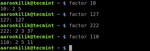 Master Linux Terminal Arithmetic:5 เทคนิคสำคัญ 