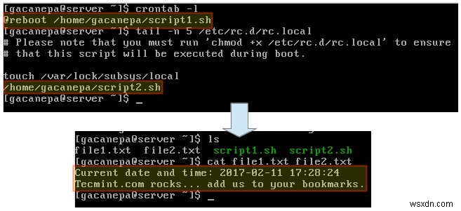 คำสั่งอัตโนมัติบน Linux Reboot และ Startup:คำแนะนำทีละขั้นตอน 