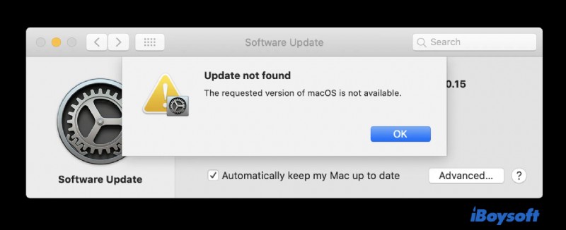 macOS Ventura:10 ปัญหาที่พบบ่อย สาเหตุ และวิธีแก้ไขด่วน 