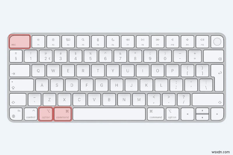 ลดพื้นที่จัดเก็บรูปแบบอิสระบน Mac:ขั้นตอนที่พิสูจน์แล้วในการเพิ่มพื้นที่ว่าง 