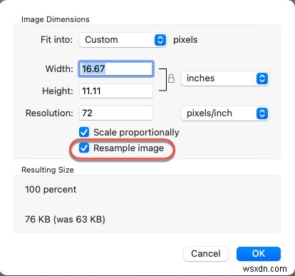 การปรับขนาดรูปภาพอย่างง่ายดายบน macOS:6 วิธีการที่ได้รับการพิสูจน์แล้ว 