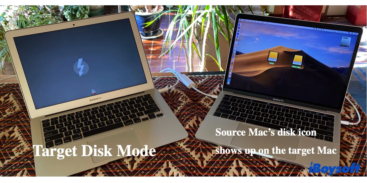 วิธีแก้ไขปัญหาผู้ช่วยการโยกย้ายบน Mac ของคุณ – การแก้ไขทีละขั้นตอน 